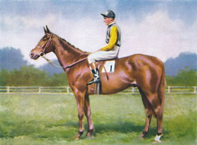 Morsekode, Jockey: D. Morgan, 1939 af Unbekannt