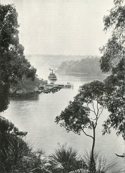 Mosmans Bay, fra Cremorne Jetty, c1900. af Unbekannt