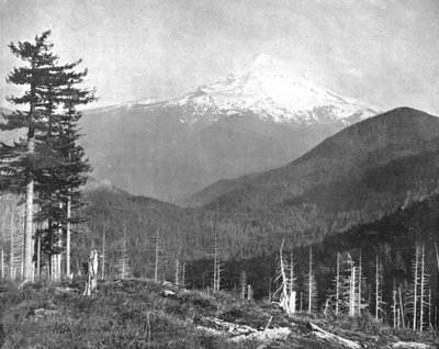 Mount Hood, Oregon, USA, c1900. af Unbekannt