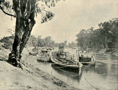 Murray Pramme og dampbåde ved Echuca, 1901. af Unbekannt