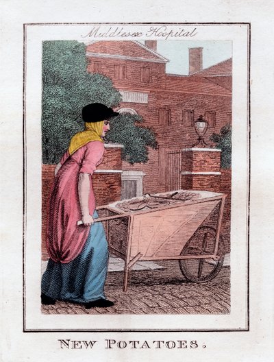 New Potatoes, Middlesex Hospital, London, 1805 af Unbekannt