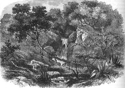 New Zealand Landskab, c1880 af Unbekannt