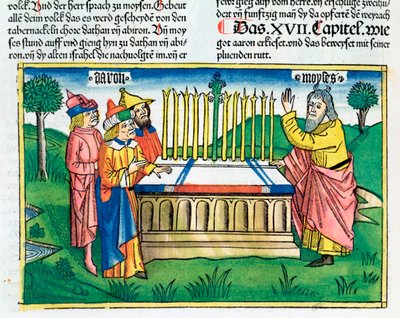 Fjerde Mosebog 17:1-11: Arons stav blomstrer på alteret af Unbekannt