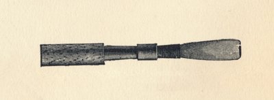 Husk Ray d, 1895. af Unbekannt