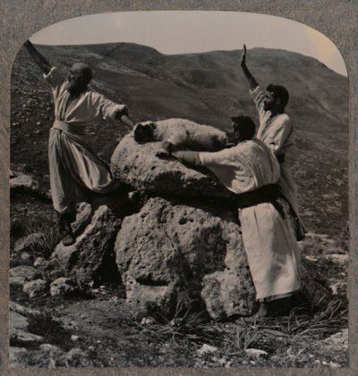 Ofring af lam på alteret, Moreh, ca. 1900 af Unbekannt