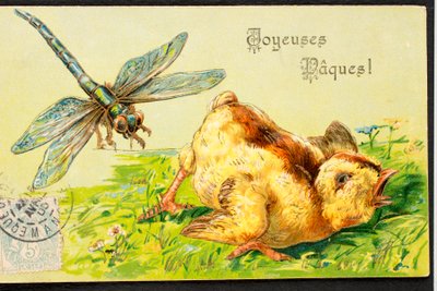 Alte Postkarte/Frohe Ostern/Küken/Libelle von Unbekannt