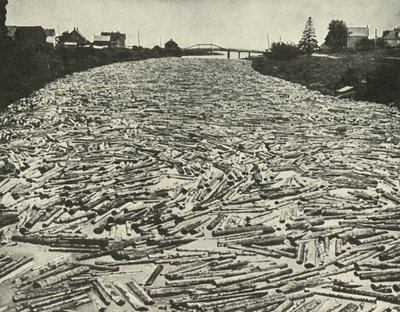 På vej til savværkerne, c1948. af Unbekannt