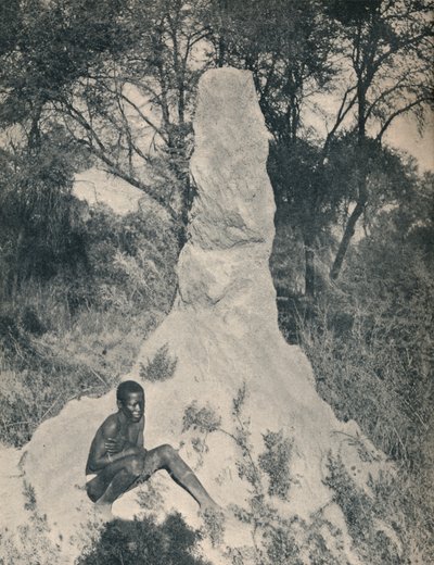 En af de gigantiske myredynger, der er ejendommelig for nogle distrikter i Sydafrika, ca. 1900. af Unbekannt