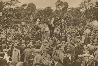 Et af tegnene på vores civilisation: velassorterede zoologiske haver til at glæde de nysgerrige, c193 af Unbekannt