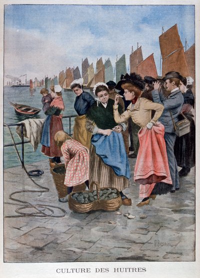 Østerssælger, 1902 af Unbekannt