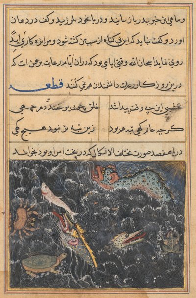 Side fra Tales of a Parrot Tuti-nama: Elvte nat: Havets skabninger, ca. 1560. af Unbekannt