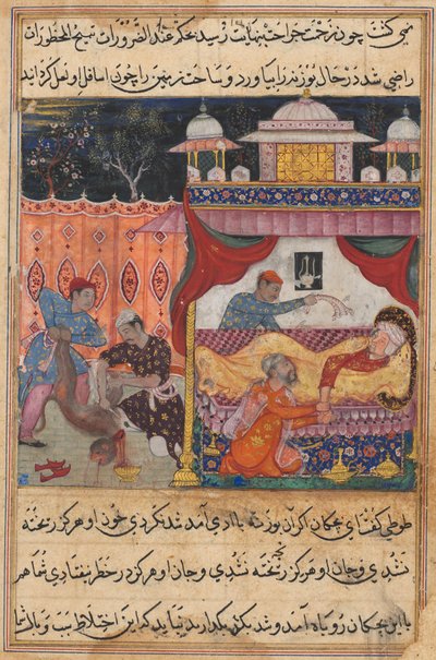 Side fra Tales of a Parrot Tuti-nama: Femte nat: Aben dræbt, hans blod..., ca. 1560. af Unbekannt