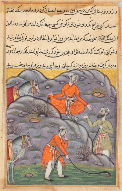 Side fra Tales of a Parrot Tuti-nama: Femogfyrre nat: Amiren dræber slangen..., ca. 1560. af Unbekannt