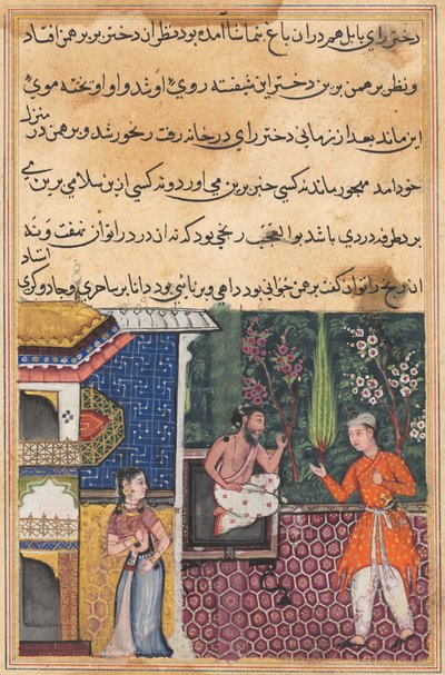 Side fra Tales of a Parrot Tuti-nama: Femogtredive nat: Brahmanen giver..., ca. 1560. af Unbekannt
