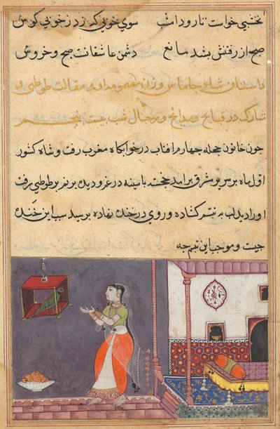 Side fra Tales of a Parrot Tuti-nama: Femogtyvende nat: Papegøjen henvender sig til Khujasta..., c1560 af Unbekannt