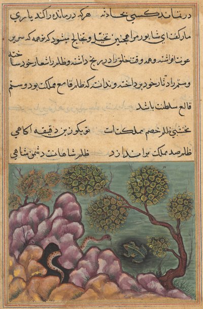 Side fra Tales of a Parrot Tuti-nama: Seksogtyvende nat: Den detroniserede frø..., ca. 1560. af Unbekannt