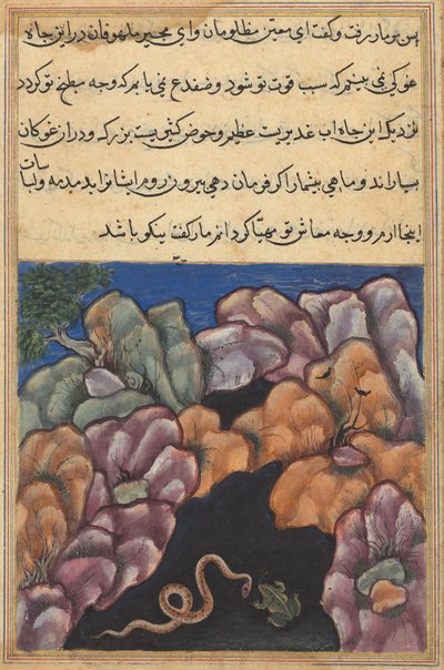 Side fra Tales of a Parrot Tuti-nama: Seksogtyvende nat: Slangen kommer ind..., ca. 1560. af Unbekannt