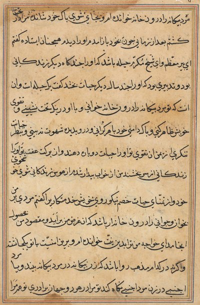 Side fra Tales of a Parrot Tuti-nama: tekstside, ca. 1560. af Unbekannt