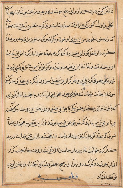 Side fra Tales of a Parrot Tuti-nama: tekstside, ca. 1560. af Unbekannt