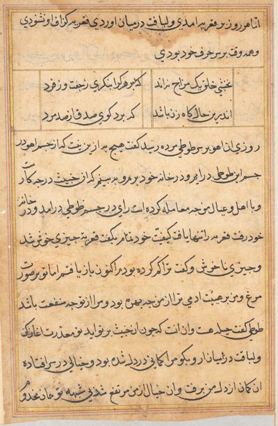 Side fra Tales of a Parrot Tuti-nama: tekstside, ca. 1560. af Unbekannt