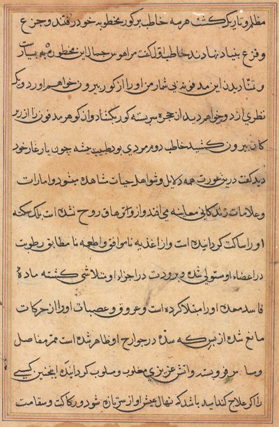 Side fra Tales of a Parrot Tuti-nama: tekstside, ca. 1560. af Unbekannt