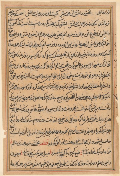 Side fra Tales of a Parrot Tuti-nama: tekstside, ca. 1560. af Unbekannt