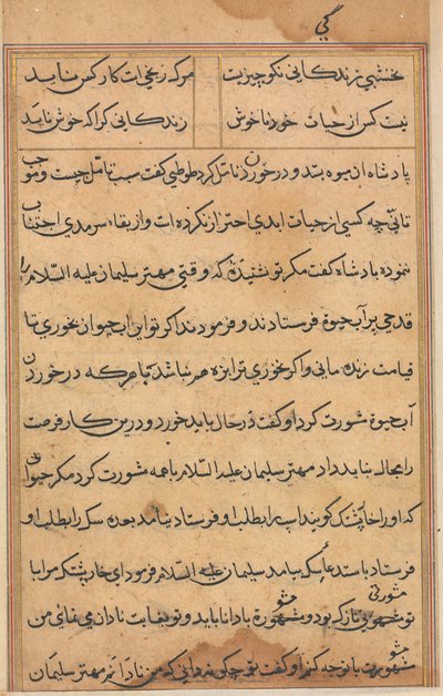 Side fra Tales of a Parrot Tuti-nama: tekstside, ca. 1560. af Unbekannt