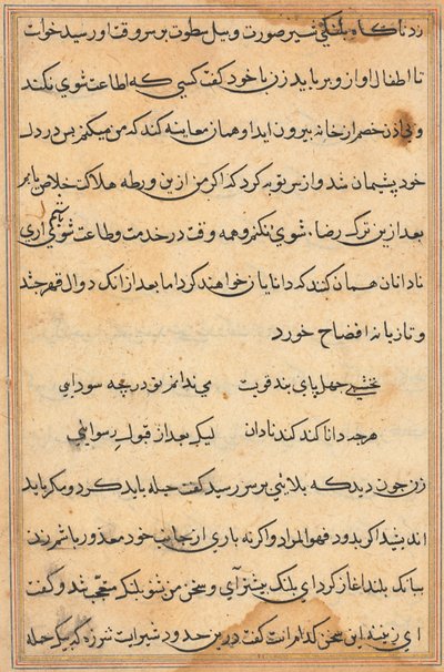Side fra Tales of a Parrot Tuti-nama: tekstside, ca. 1560. af Unbekannt