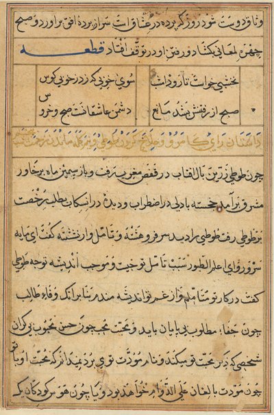 Side fra Tales of a Parrot Tuti-nama: tekstside, ca. 1560. af Unbekannt