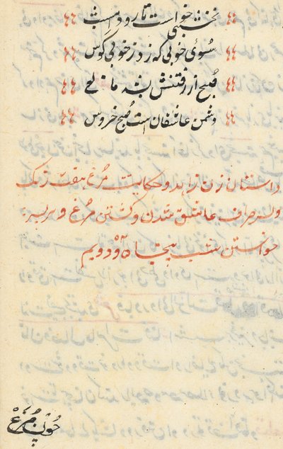 Side fra Tales of a Parrot Tuti-nama: tekstside, ca. 1560. af Unbekannt