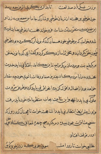 Side fra Tales of a Parrot Tuti-nama: tekstside, ca. 1560. af Unbekannt