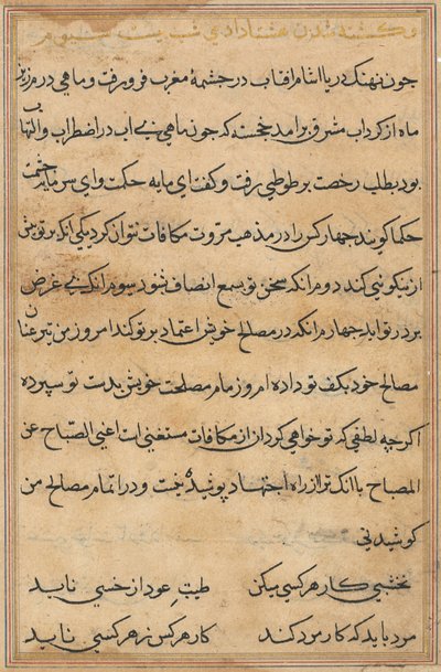 Side fra Tales of a Parrot Tuti-nama: tekstside, ca. 1560. af Unbekannt