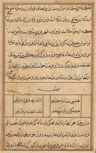 Side fra Tales of a Parrot Tuti-nama: tekstside, ca. 1560. af Unbekannt