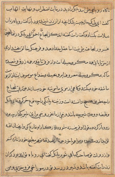 Side fra Tales of a Parrot Tuti-nama: tekstside, ca. 1560. af Unbekannt