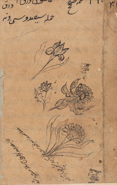 Side fra Tales of a Parrot Tuti-nama: tekstside, ca. 1560. af Unbekannt