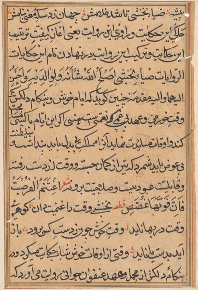 Side fra Tales of a Parrot Tuti-nama: tekstside, ca. 1560. af Unbekannt