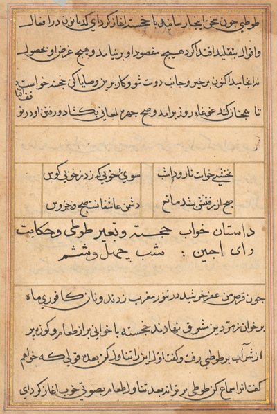 Side fra Tales of a Parrot Tuti-nama: tekstside, ca. 1560. af Unbekannt