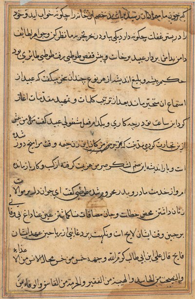 Side fra Tales of a Parrot Tuti-nama: tekstside, ca. 1560. af Unbekannt