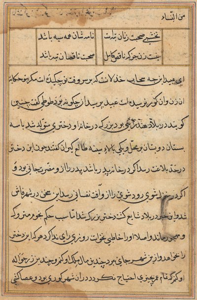 Side fra Tales of a Parrot Tuti-nama: tekstside, ca. 1560. af Unbekannt