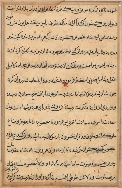 Side fra Tales of a Parrot Tuti-nama: tekstside, ca. 1560. af Unbekannt