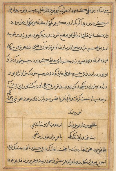 Side fra Tales of a Parrot Tuti-nama: tekstside, ca. 1560. af Unbekannt