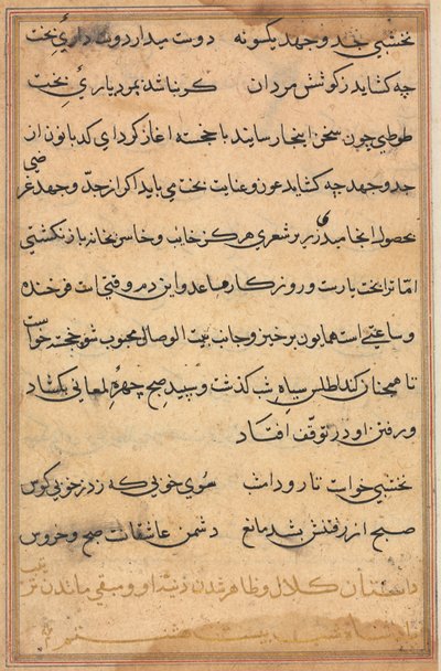 Side fra Tales of a Parrot Tuti-nama: tekstside, ca. 1560. af Unbekannt