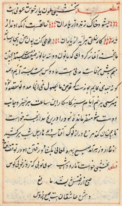 Side fra Tales of a Parrot Tuti-nama: tekstside, ca. 1560. af Unbekannt