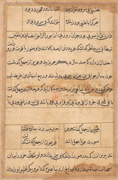 Side fra Tales of a Parrot Tuti-nama: tekstside, ca. 1560. af Unbekannt