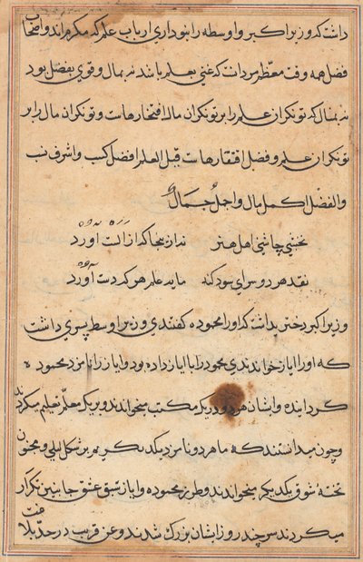 Side fra Tales of a Parrot Tuti-nama: tekstside, ca. 1560. af Unbekannt