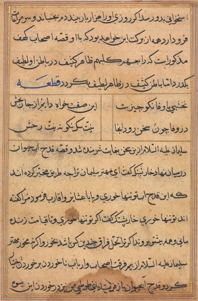 Side fra Tales of a Parrot Tuti-nama: tekstside, ca. 1560. af Unbekannt