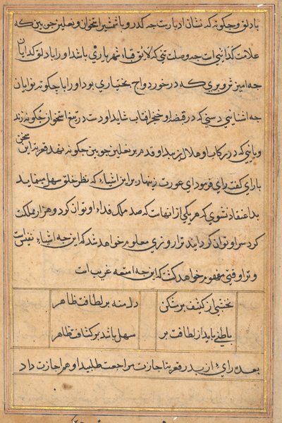 Side fra Tales of a Parrot Tuti-nama: tekstside, ca. 1560. af Unbekannt