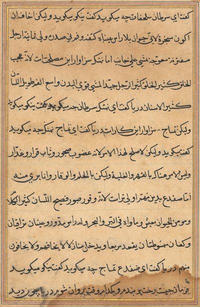 Side fra Tales of a Parrot Tuti-nama: tekstside, ca. 1560. af Unbekannt