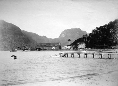 Pago Pago Havn, på øen Tutuila, Amerikansk Samoa, 1889 af Unbekannt