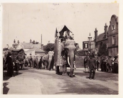 Parade af elefanter, ca 1905 af Unbekannt